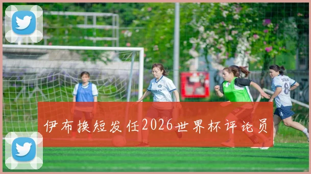 伊布换短发任2026世界杯评论员