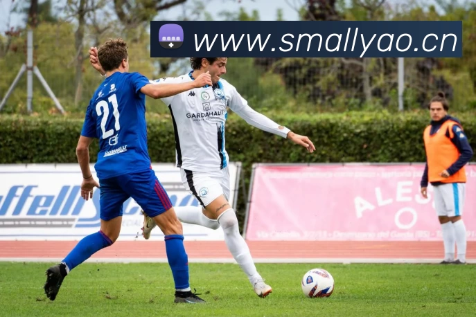 世界杯官方网络平台平台生态图